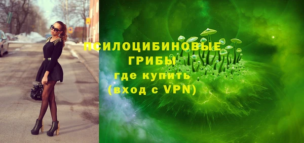 сатива Абдулино